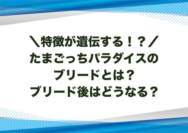 たまごっちパラダイスのブリードとは？ブリード後はどうなる？